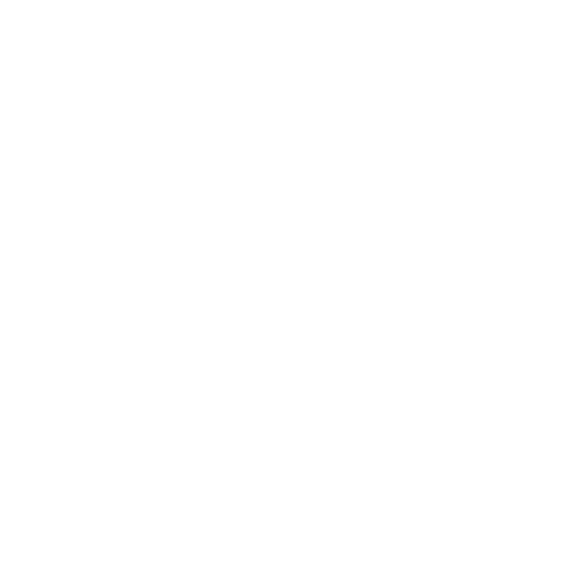 Brain Injuries